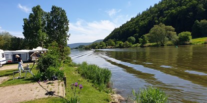 Campingplätze - Baden in natürlichen Gewässern - Mainufer - Campingplatz Mainufer