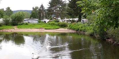 Campingplätze - Baden in natürlichen Gewässern - Badebucht - Campingplatz Mainufer