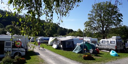Campingplätze - Baden in natürlichen Gewässern - keine Einfassungshecken - Campingplatz Mainufer