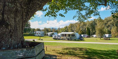 Campingplätze - Oberbayern - Camping Aichalehof