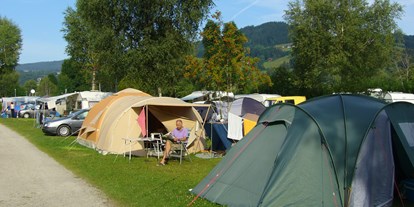 Campingplätze - Hunde Willkommen - Auch für unsere Zeltliebhaber haben wir Plätze. Sie finden bei uns keine große Zeltwiese, sondern parzelierte Zeltplätze für Ihr Zelt mit Auto.  - Camping Zeh am See/ Allgäu