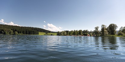 Campingplätze - Baden in natürlichen Gewässern - Unser schöner Badeplatz am Niedersonthofener See, nur ein Katzensprung vom Campingplatz entfernt.   - Camping Zeh am See/ Allgäu