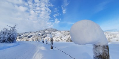 Campingplätze - Hunde Willkommen - Verschneite Aussichten. Die Einfahrt zum Campingplatz mit Aussicht auf den Stoffelberg.  - Camping Zeh am See/ Allgäu