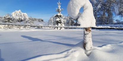 Campingplätze - Reisemobilstellplatz vor der Schranke - Unsere verschneite Zeltwiese im Winter.  - Camping Zeh am See/ Allgäu