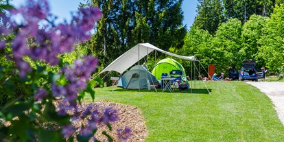 Campingplätze - Reisemobilstellplatz vor der Schranke - Campingplatz Elbsee