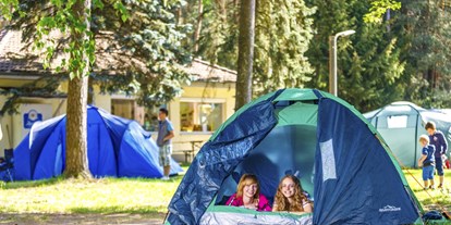 Campingplätze - Hunde Willkommen - Gruppen mit Zelt finden auf unserer Zeltwiese Platz. - Camping Waldsee 