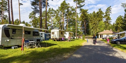 Campingplätze - Baden in natürlichen Gewässern - Für Wohnmobile, Wohnwagen, Campingbusse und Zelte bieten wir Komfort- und Standardstellplätze an. - Camping Waldsee 