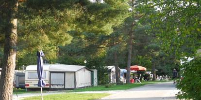 Campingplätze - Franken - Waldcamping Brombach e.K.