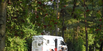 Campingplätze - Franken - Waldcamping Brombach e.K.