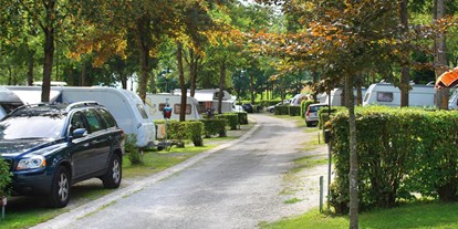 Campingplätze - Baden in natürlichen Gewässern - Unsere geräumigen Standard-Standplätze auf unserer Anlage. - Kur- & Feriencamping Holmernhof Dreiquellenbad
