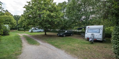 Campingplätze - Grillen mit Holzkohle möglich - Spessart Camping Schönrain
